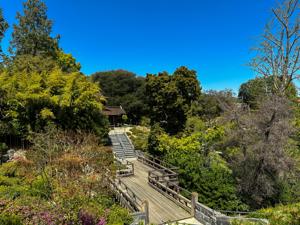 Huntington Library And Botanical Gardens 7